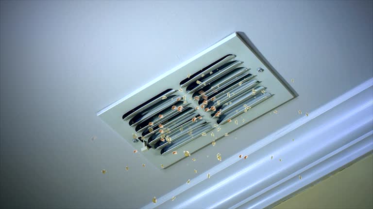 Emergency Air Duct Cleaning in IA