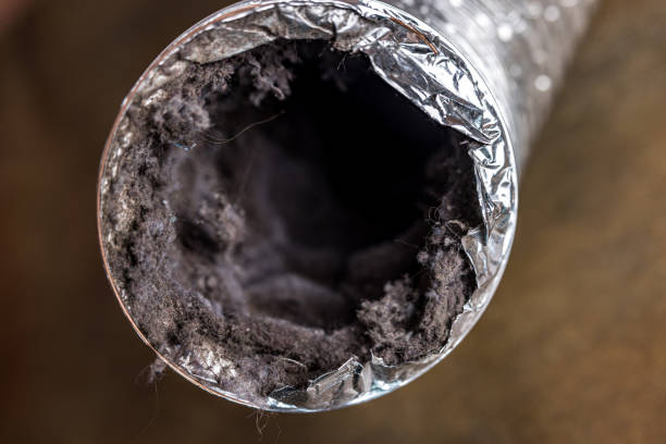 Best Air Duct Cleaning Near Me  in Independence, IA