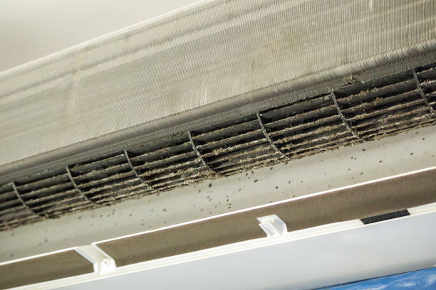 Best Ductwork Cleaning Services  in Independence, IA