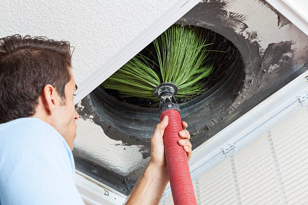 Best Dryer Vent Cleaning Services  in Independence, IA